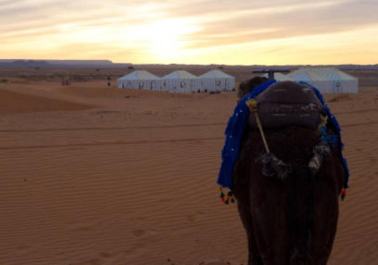 فندق Fabulous Luxury Camp مرزوكة المظهر الخارجي الصورة